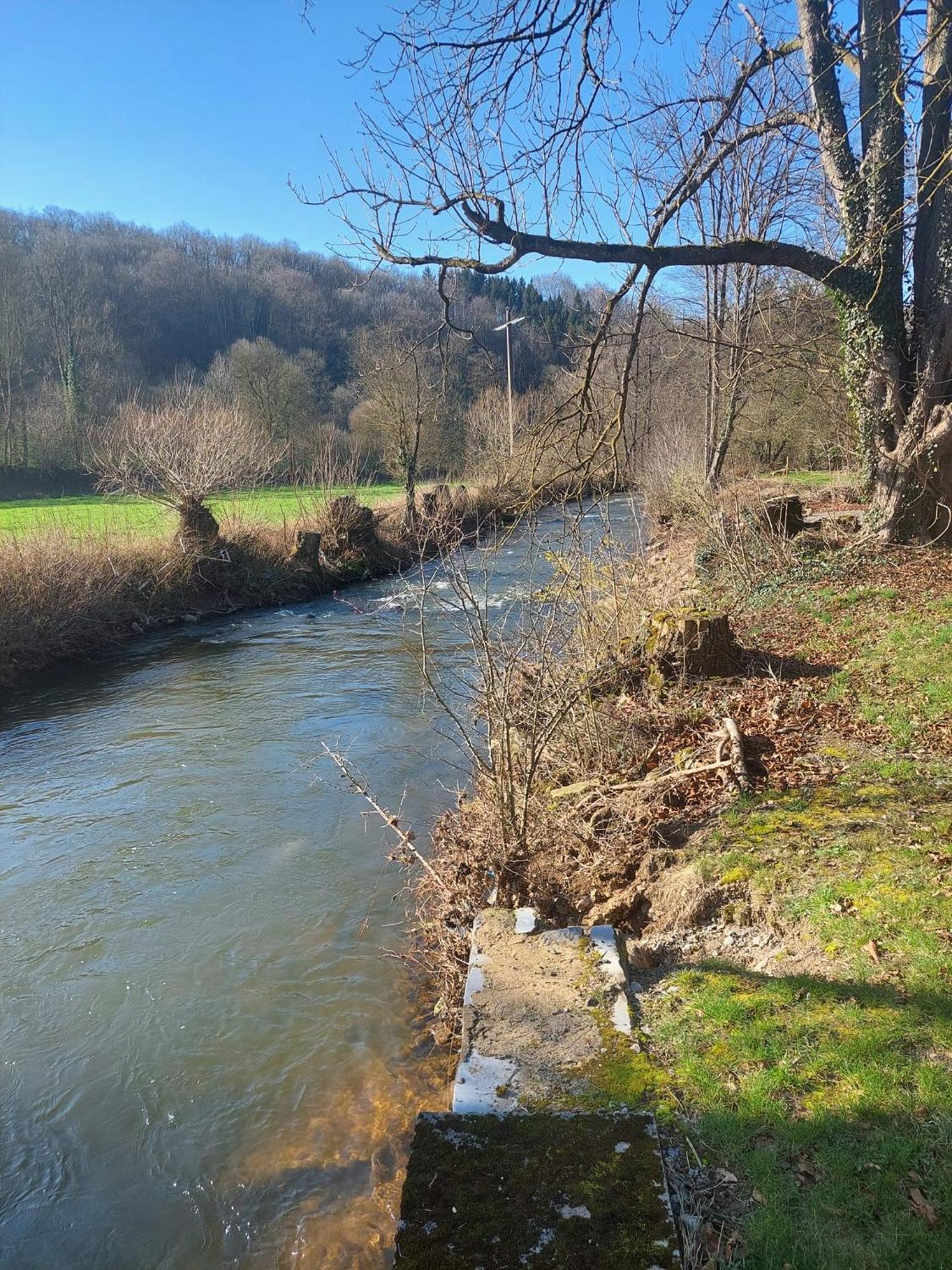 Au Doux Chardon Bed & Breakfast Durbuy